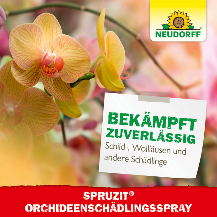 Neudorff Spruzit OrchideenSchädlingsSpray (auch gegen Thripse & Weiße Fliege) - Silberkraft