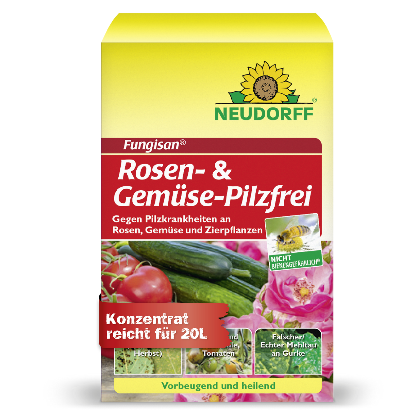 Sternrußtau bekämpfen & loswerden