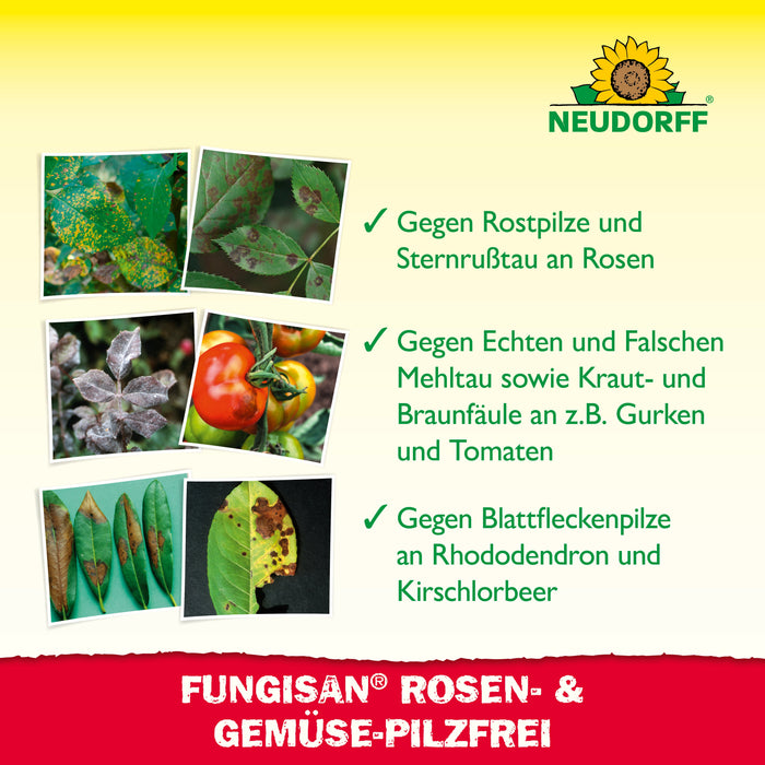 Neudorff Fungisan Rosen- und Gemüse-Pilzfrei - Silberkraft