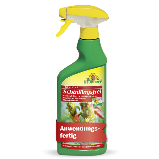 Neudorff Spruzit AF Schädlingsfrei gegen Blattläuse, Thripse, Buchsbaumzünsler - Silberkraft