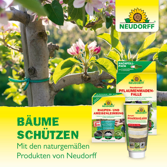 Neudorff Neudomon PflaumenmadenFalle - Silberkraft