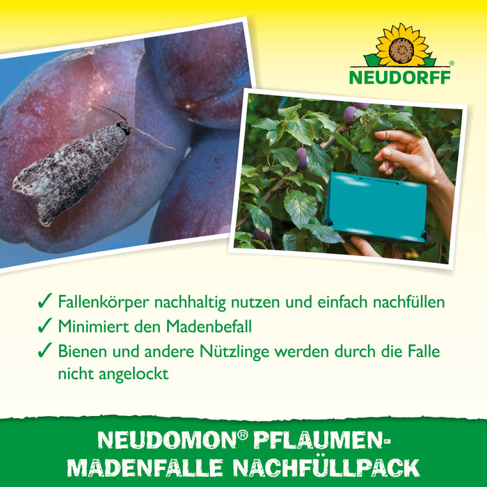 Neudorff Neudomon PflaumenmadenFalle Nachfüllpack - Silberkraft