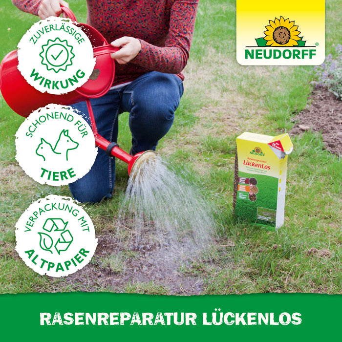 Neudorff Rasenreparatur LückenLos - Silberkraft