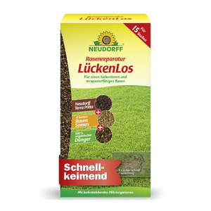 Neudorff Rasenreparatur LückenLos - Silberkraft