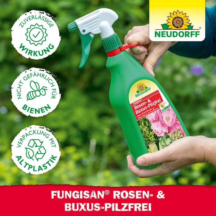 Neudorff Fungisan Rosen- und Buxus-Pilzfrei - Silberkraft