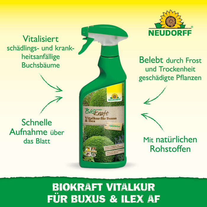Neudorff BioKraft Vitalkur für Buxus & Ilex - Silberkraft