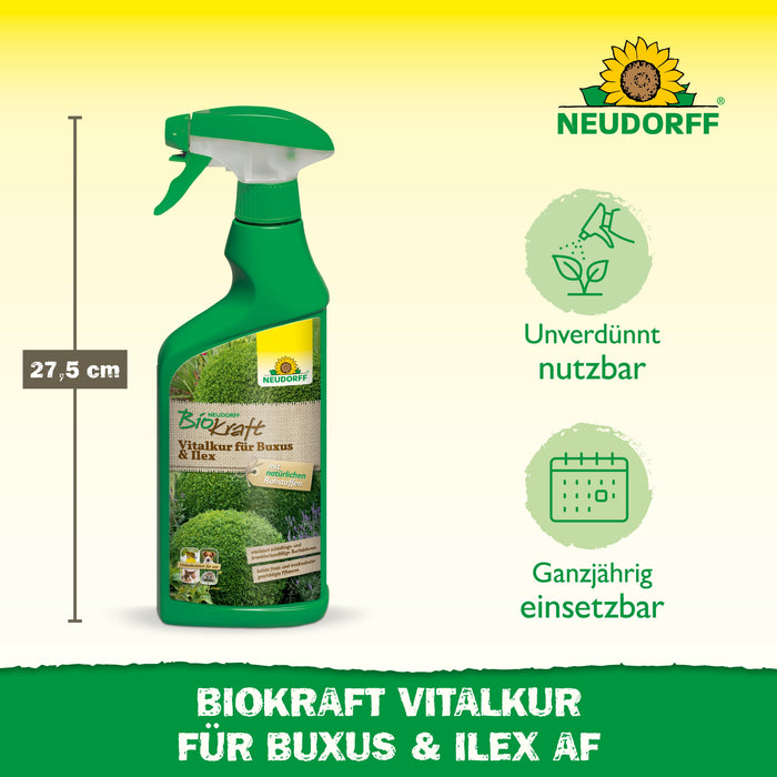 Neudorff BioKraft Vitalkur für Buxus & Ilex - Silberkraft