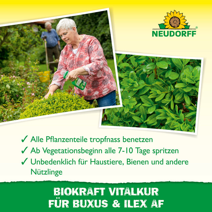Neudorff BioKraft Vitalkur für Buxus & Ilex - Silberkraft