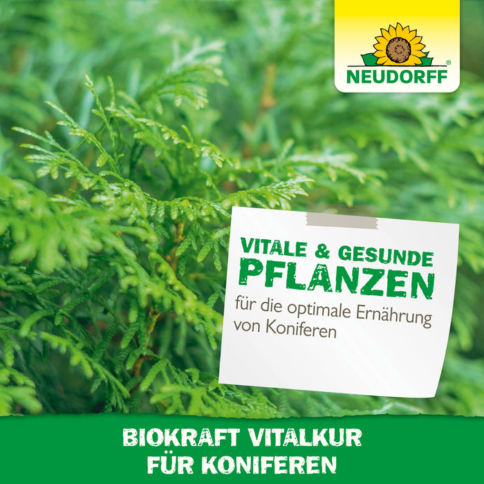 Neudorff BioKraft Vitalkur für Koniferen - Silberkraft