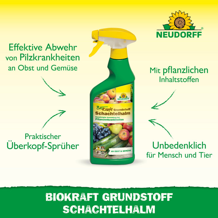 Neudorff BioKraft Grundstoff Schachtelhalm - Silberkraft