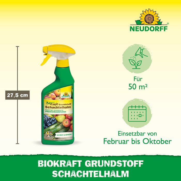 Neudorff BioKraft Grundstoff Schachtelhalm - Silberkraft