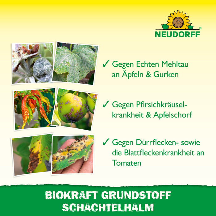 Neudorff BioKraft Grundstoff Schachtelhalm - Silberkraft