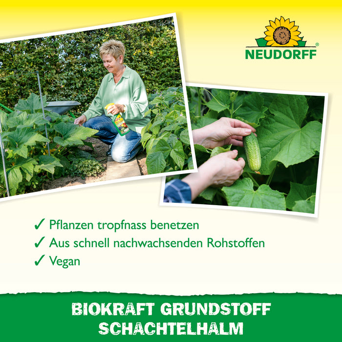 Neudorff BioKraft Grundstoff Schachtelhalm - Silberkraft