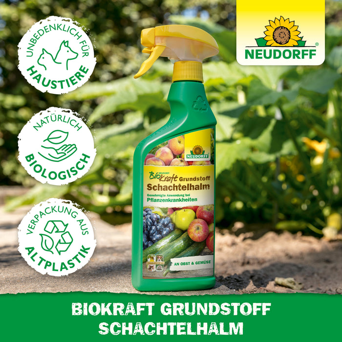 Neudorff BioKraft Grundstoff Schachtelhalm - Silberkraft