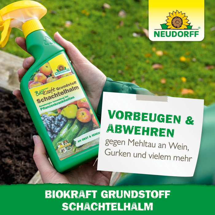 Neudorff BioKraft Grundstoff Schachtelhalm - Silberkraft