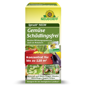 Neudorff Spruzit NEEM GemüseSchädlingsfrei gegen Blattläuse, Kartoffelkäferlarven, Weiße Fliege, Zikaden, Minierfliegen, Raupen, Thripse - Silberkraft