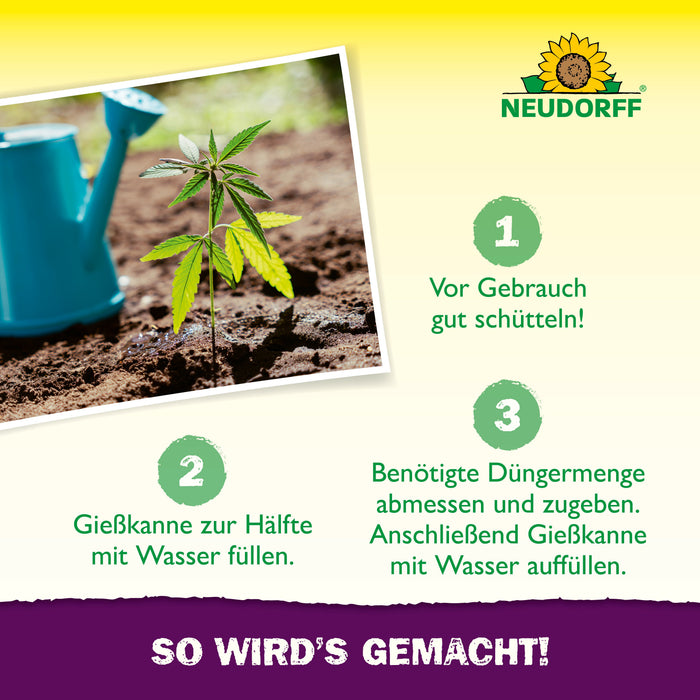 Neudorff Azet GrowDünger — Silberkraft