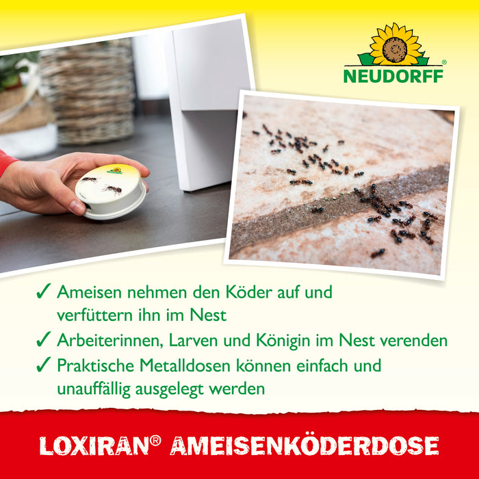 Neudorff Loxiran Ameisenköderdose - Silberkraft