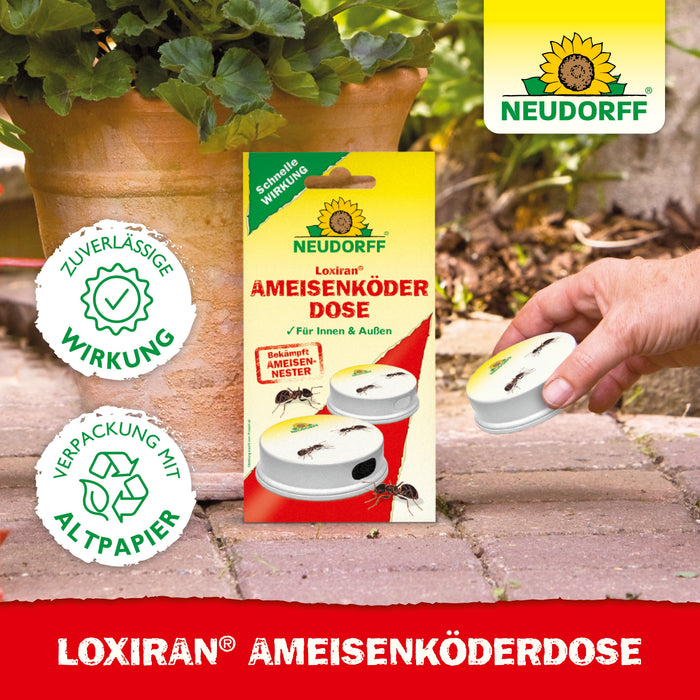 Neudorff Loxiran Ameisenköderdose - Silberkraft