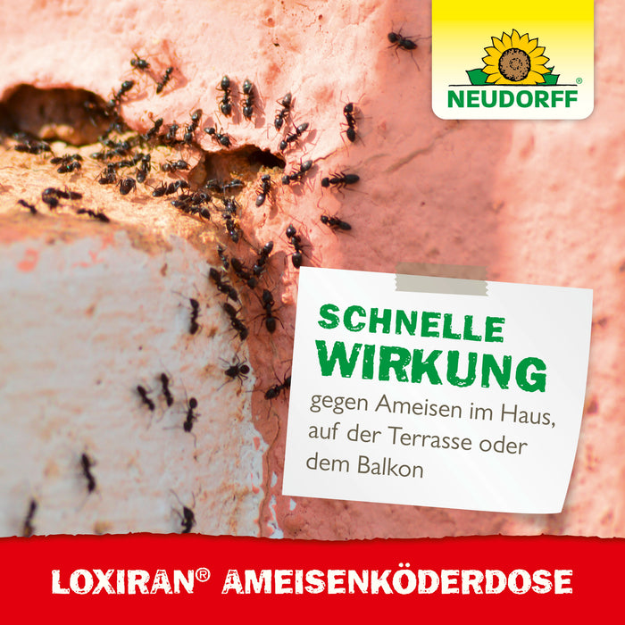 Neudorff Loxiran Ameisenköderdose - Silberkraft