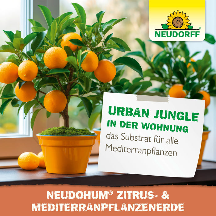 Neudorff NeudoHum Zitrus- & MediterranpflanzenErde - Silberkraft
