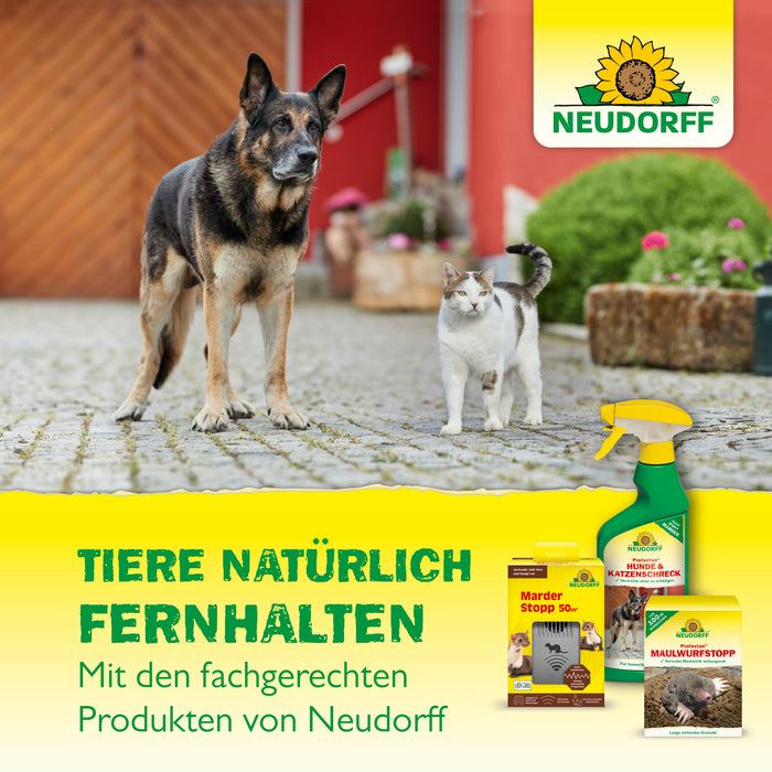Neudorff Protectan Hunde- und KatzenSchreck - Silberkraft