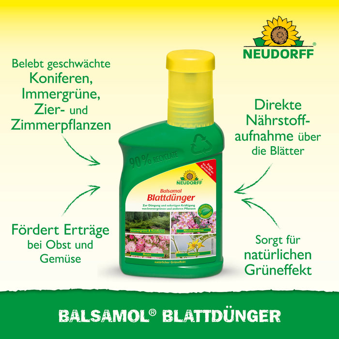 Neudorff Balsamol Blattdünger - Silberkraft