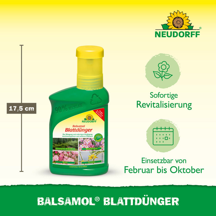 Neudorff Balsamol Blattdünger - Silberkraft