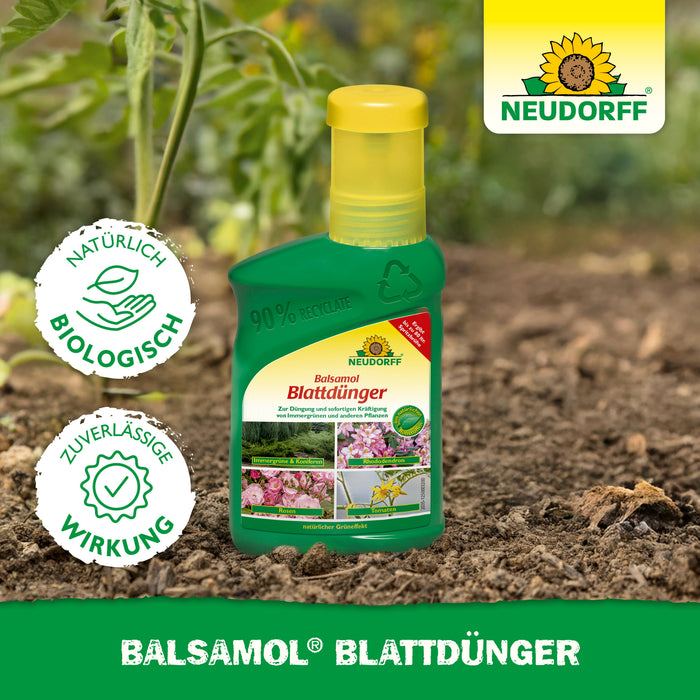 Neudorff Balsamol Blattdünger - Silberkraft