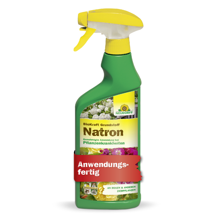 Neudorff BioKraft Grundstoff Natron - Silberkraft