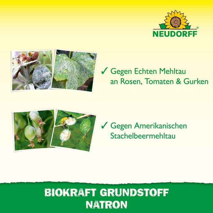 Neudorff BioKraft Grundstoff Natron - Silberkraft