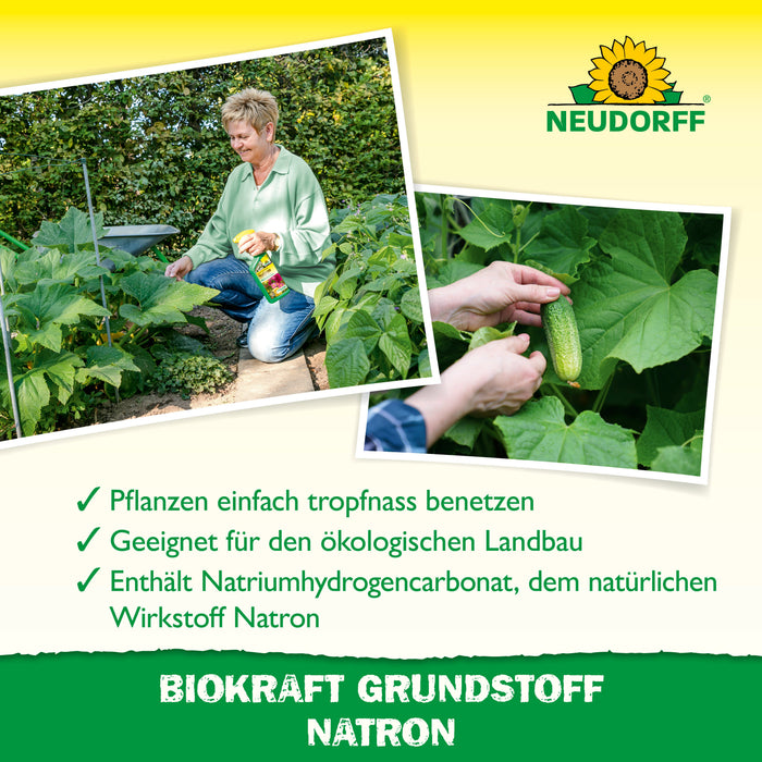 Neudorff BioKraft Grundstoff Natron - Silberkraft