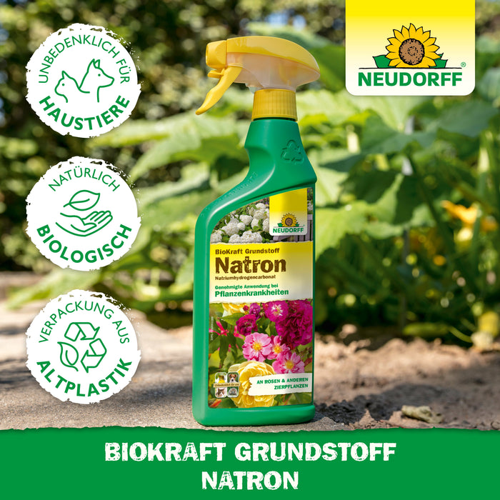 Neudorff BioKraft Grundstoff Natron - Silberkraft