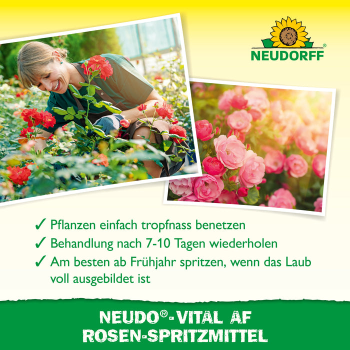 Neudorff Neudo-Vital AF Rosen-Spritzmittel - Silberkraft