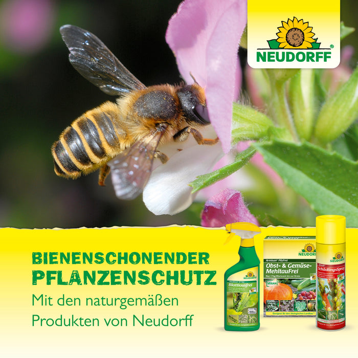Neudorff Neudo-Vital AF Rosen-Spritzmittel - Silberkraft