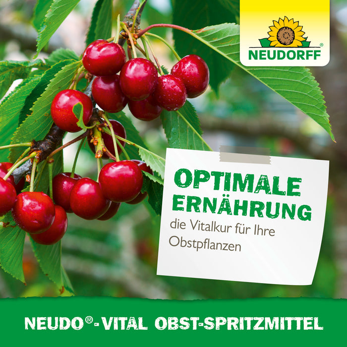 Neudorff Neudo-Vital Obst-Spritzmittel - Silberkraft