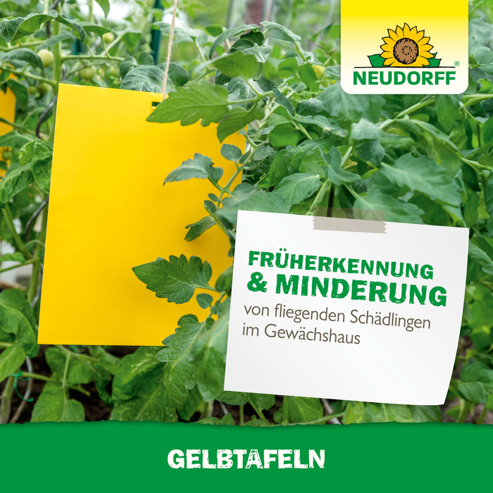 Neudorff Gelbtafeln (großformatig) - Silberkraft