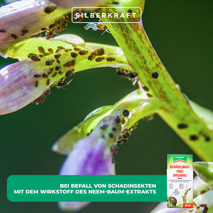 Schädlingsfrei-Organic mit Neem-Baum-Extrakt: Schutz vor Schädlingen