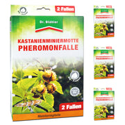 Effektive Pheromon-Falle gegen Kastanienminiermotten