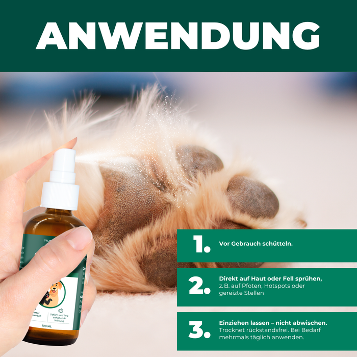 Kolloidales Silberspray 100 ml - Spray zur Wundheilung - Hautpflege bei Ungezieferbefall, Juckreiz, Infektionen, Entzündungen - für Hunde, Katzen, Nagetiere und andere Haustiere