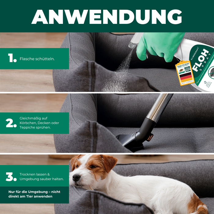 Anleitung zur Anwendung des Floh Sprays am Hund – Schritt-für-Schritt-Grafik