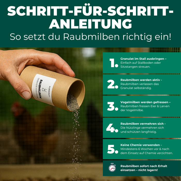 Raubmilben gegen Rote Vogelmilben