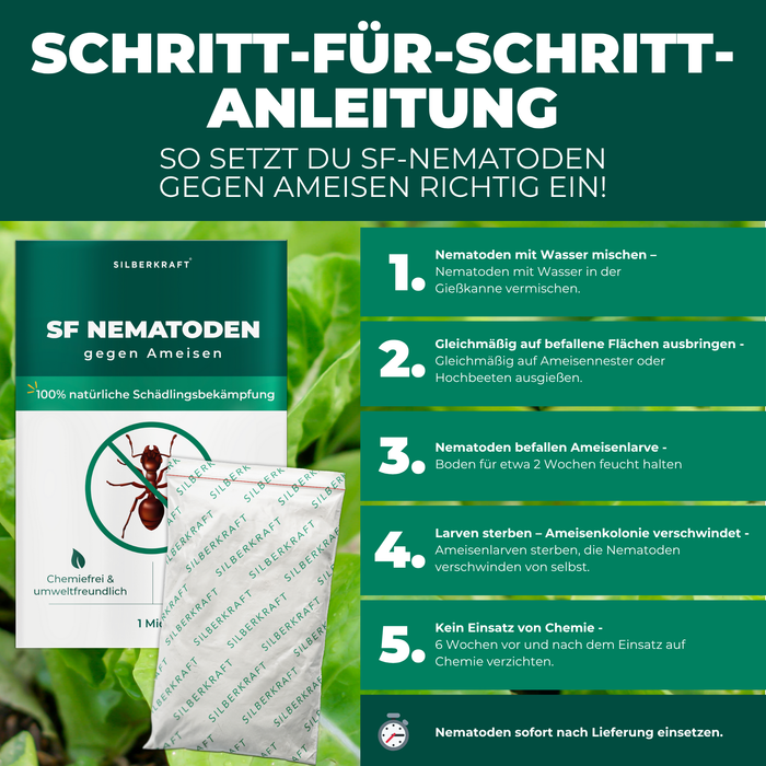 SF Nematoden gegen Ameisen