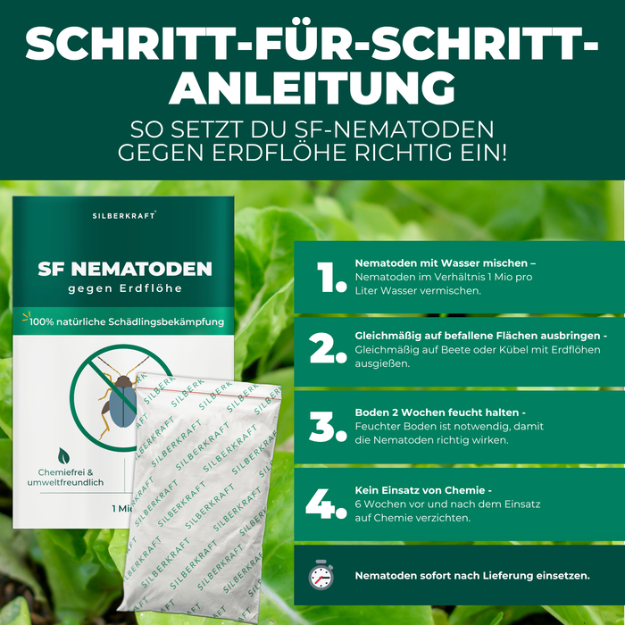 SF Nematoden gegen Erdflöhe