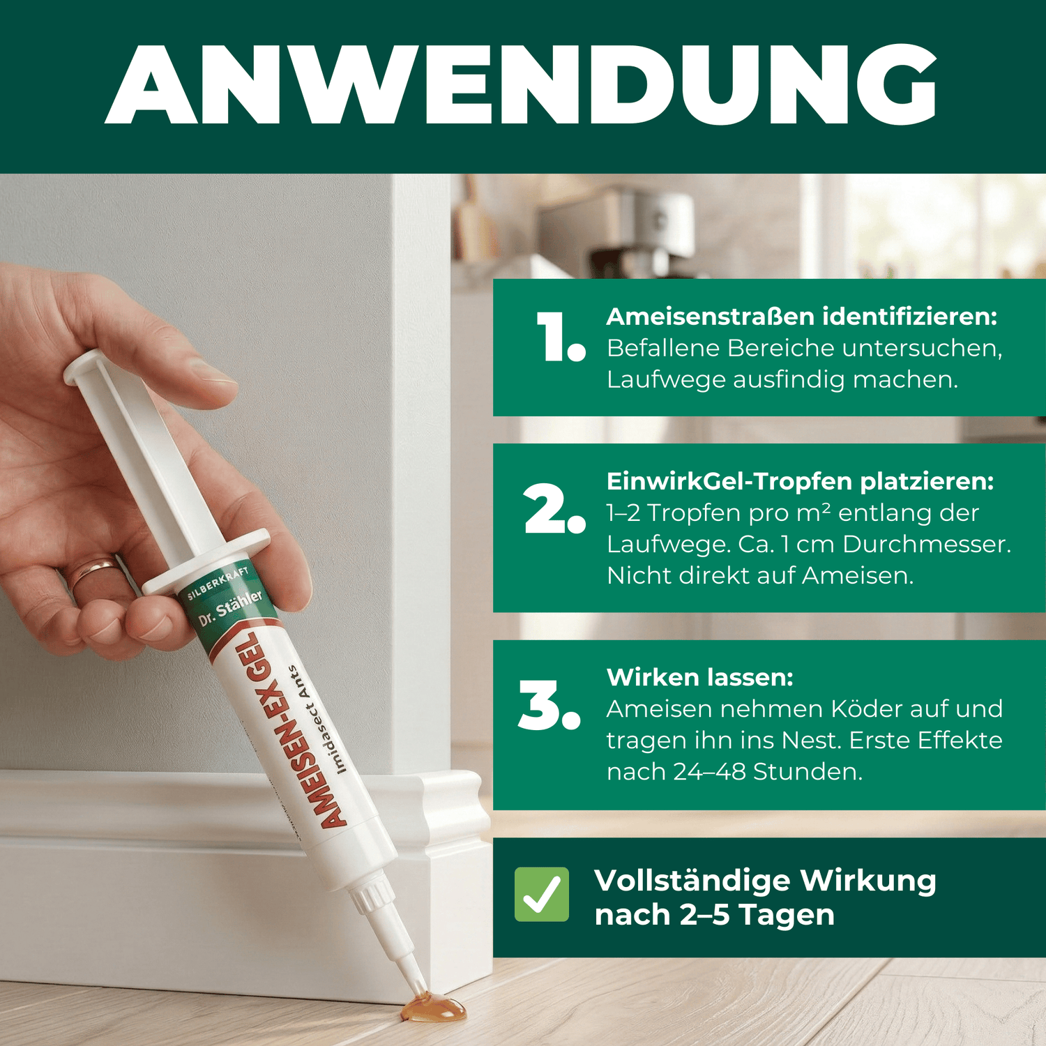 Ameisen-Ex Gel: Sofortige Lösung gegen Ameisenbefall im Innen- und Außenbereich - Silberkraft