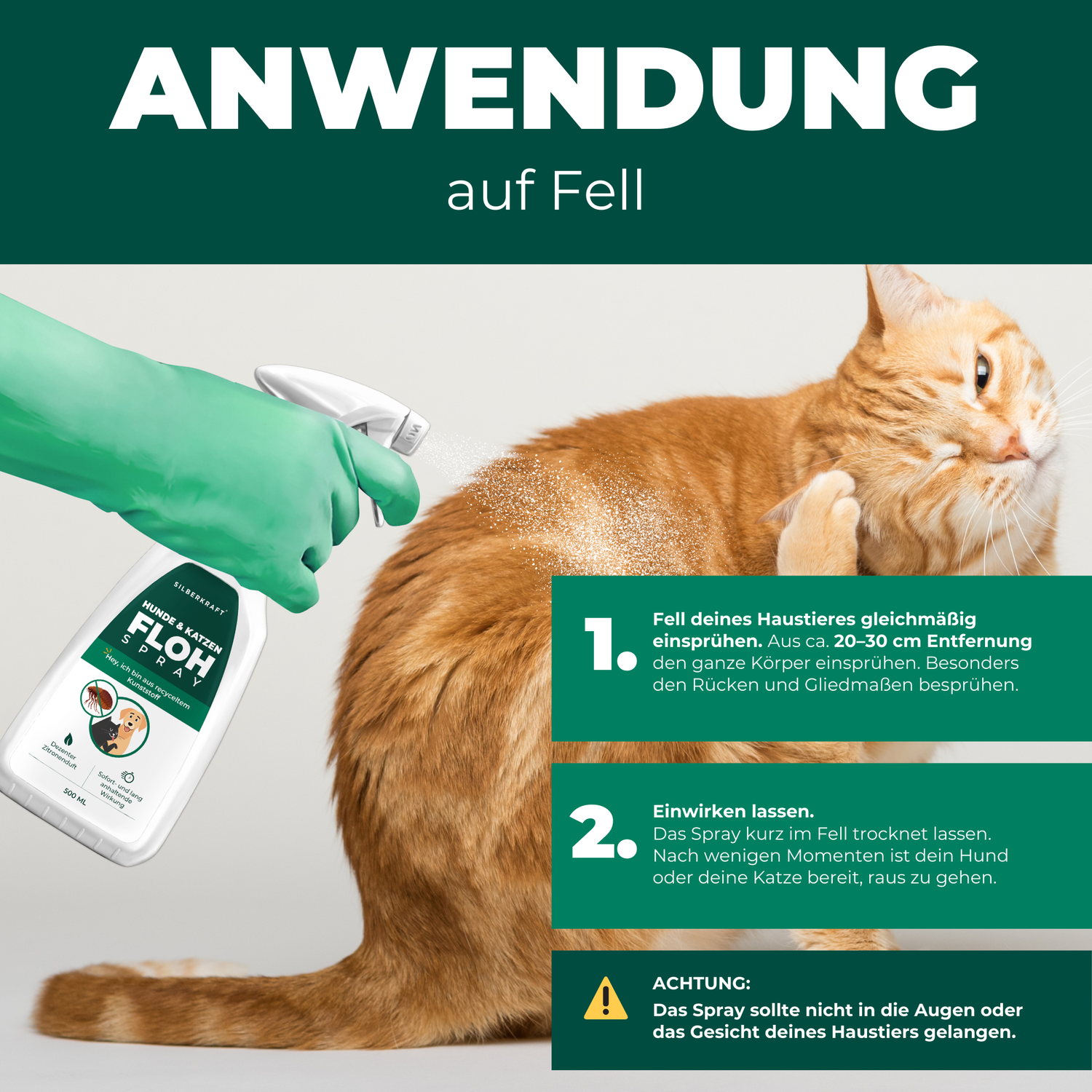 Detailaufnahme der Anwendung von Silberkraft Flohspray auf das Fell einer Katze.