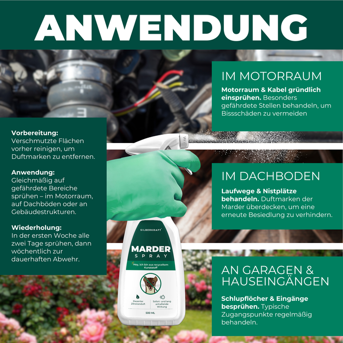 Silberkraft Marderspray:  Einfache Anwendung im Motorraum, auf Dachböden, in der Garage oder an Hauseingängen. Wiederholte Anwendung für dauerhaften Schutz empfohlen.