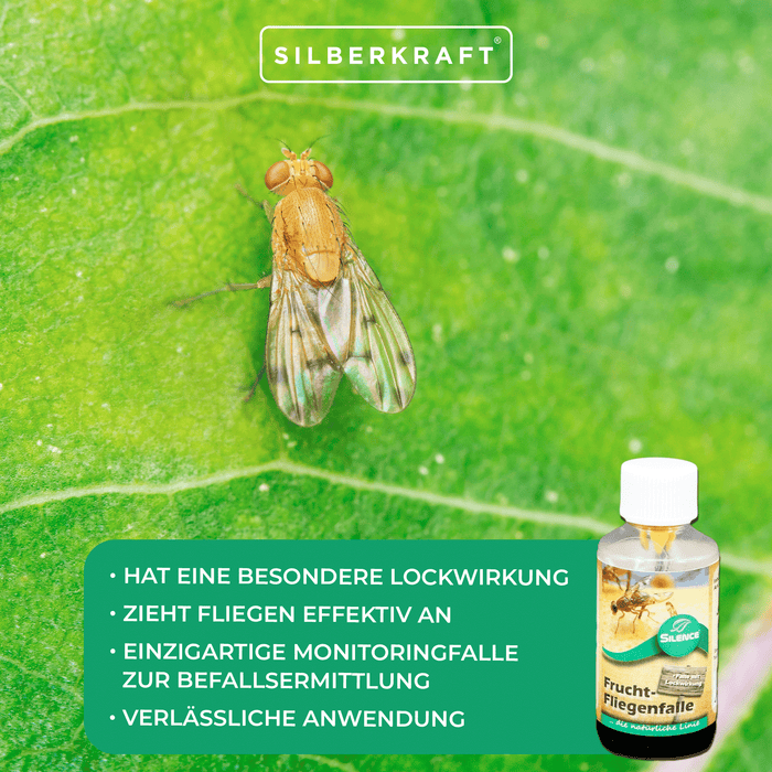Trappola per mosche della frutta Silence: trappola di monitoraggio per rilevare infestazioni da mosche della frutta, della frutta e dell'aceto