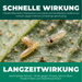 Schnelle und nachhaltige Wirkung der Raubmilben Mischung (Neoseiulus cucumeris und Amblyseius californicus) an Pflanzenblättern