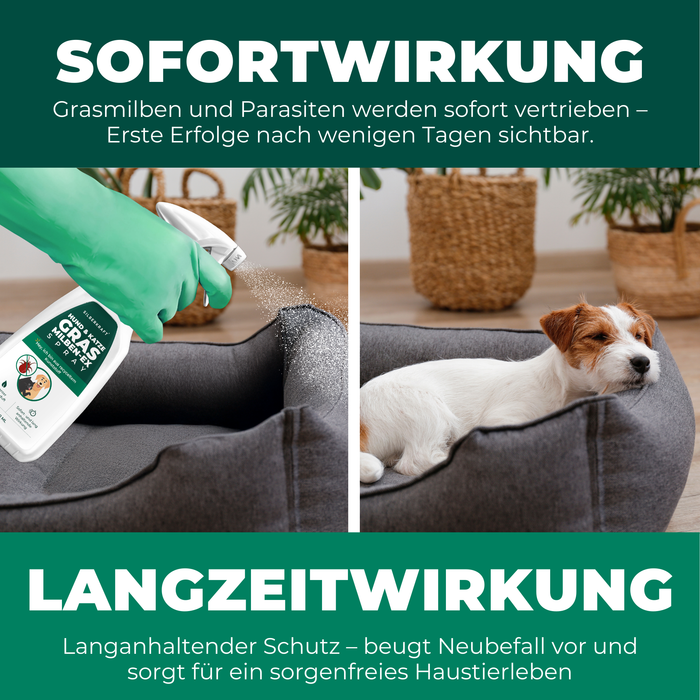 Silberkraft Grasmilben EX Spray mit Text, der die langanhaltende Wirkung des Produkts gegen Grasmilben anpreist.
